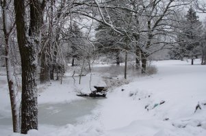The Shores of Turtle Creek