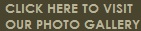 Photo & Video Gallery